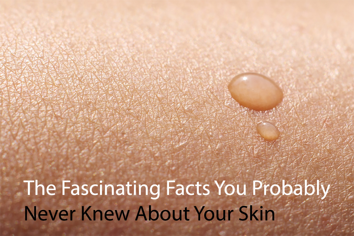 The Fascinating Facts You Probably Never Knew About Your Skin