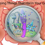 The Surprising Things That Harm Your Gut Bacteria