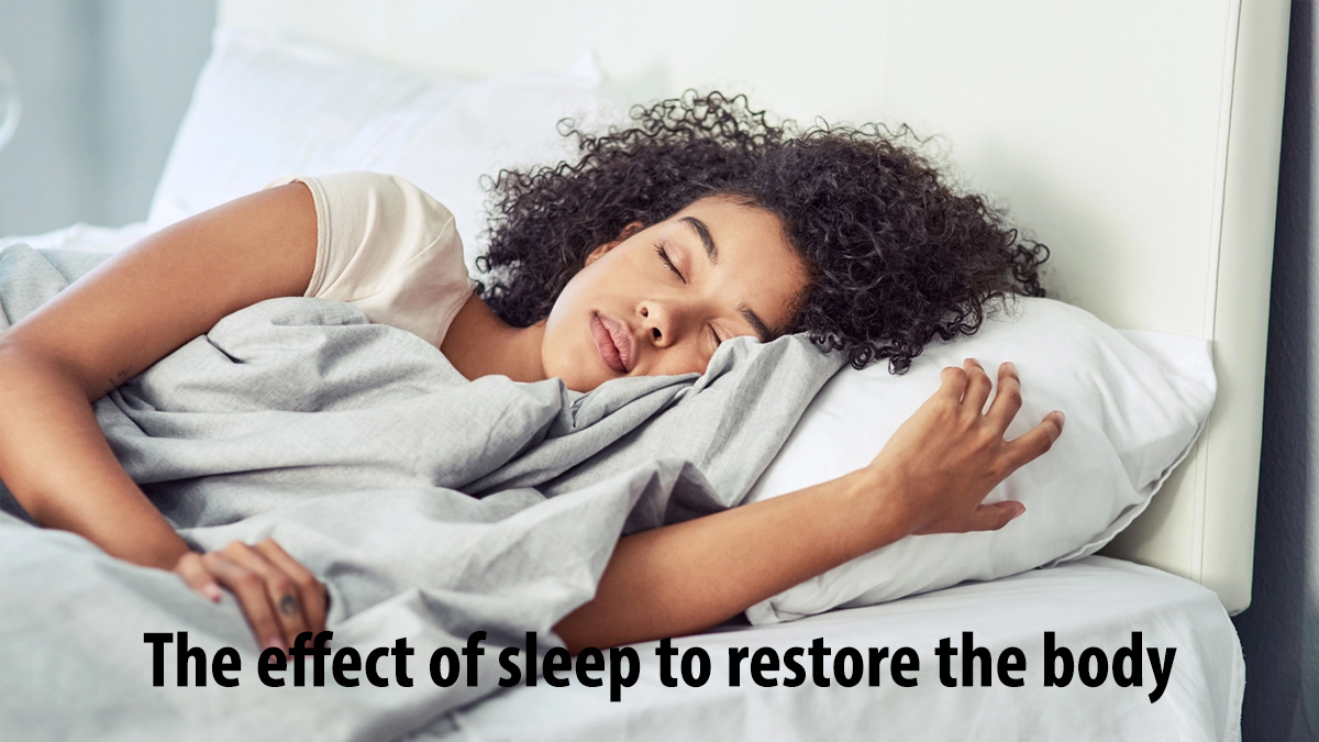 The effect of sleep to restore the body