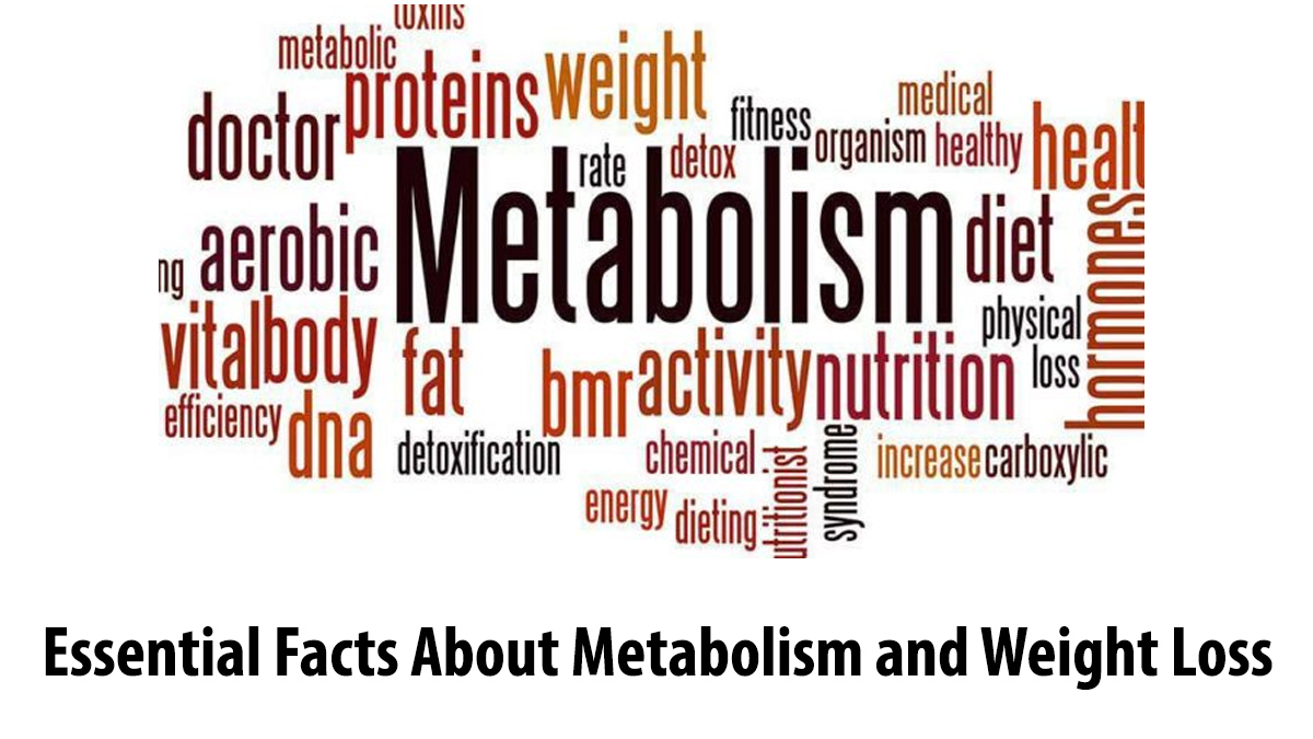 Essential Facts About Metabolism and Weight Loss