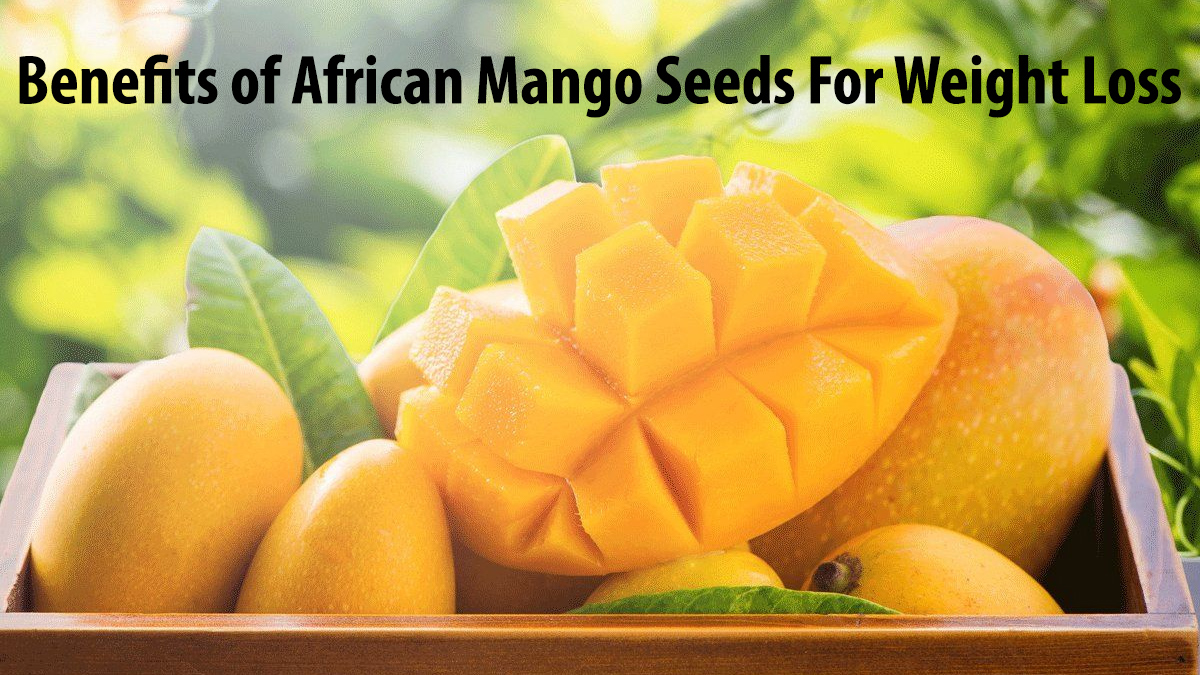 Benefits of African Mango Seeds For Weight Loss