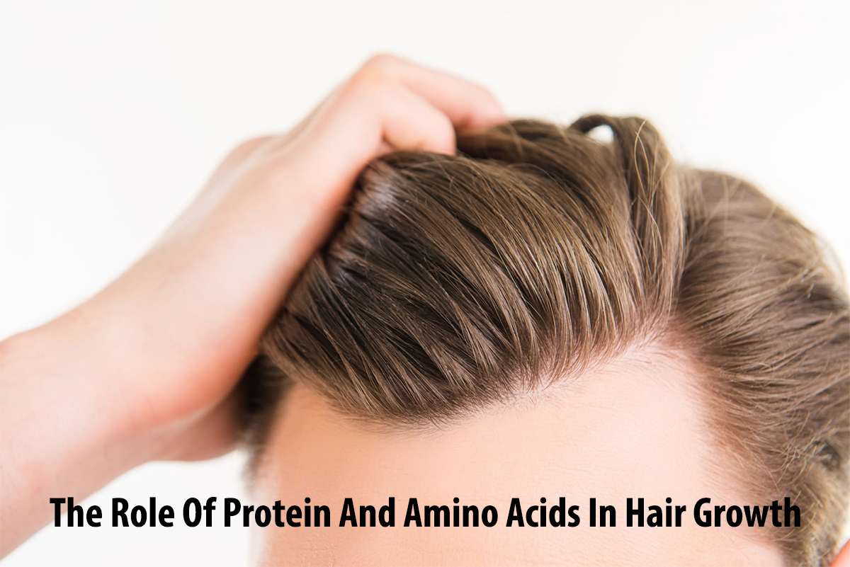 The Role Of Protein And Amino Acids In Hair Growth