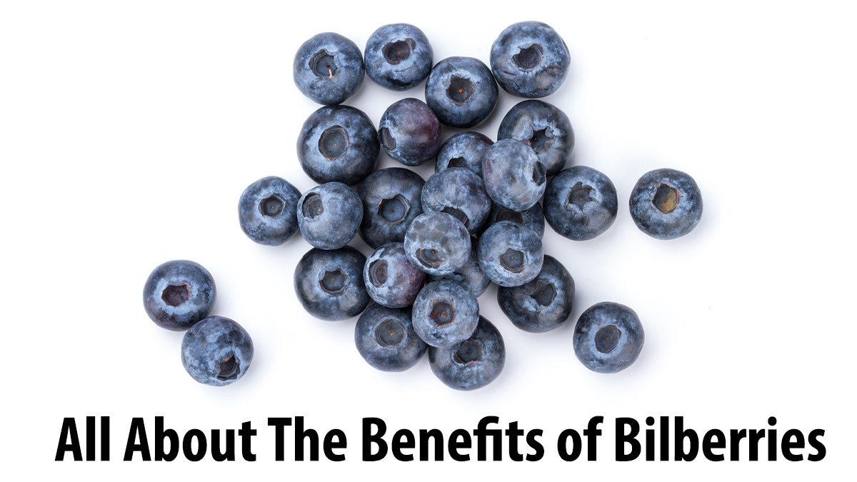 All About The Benefits of Bilberries