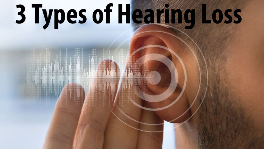 3 Types of Hearing Loss