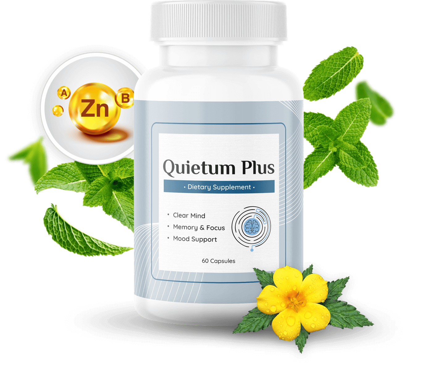 Quietum Plus Review 2