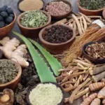 Ayurvedic Health Practices: A Holistic Approach to Wellness