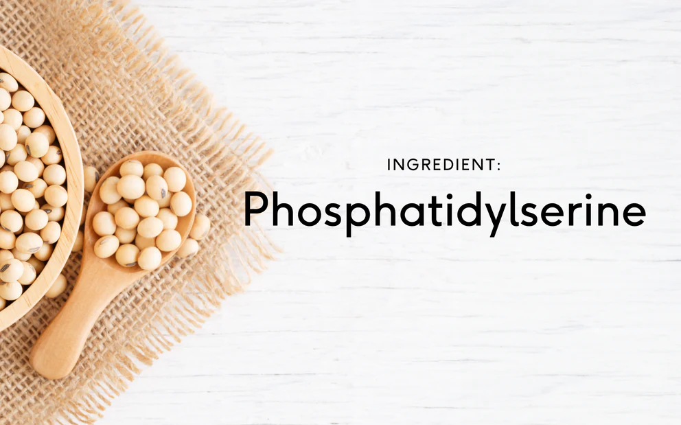 Phosphatidylserine What It Is Benefits Side Effects & Uses