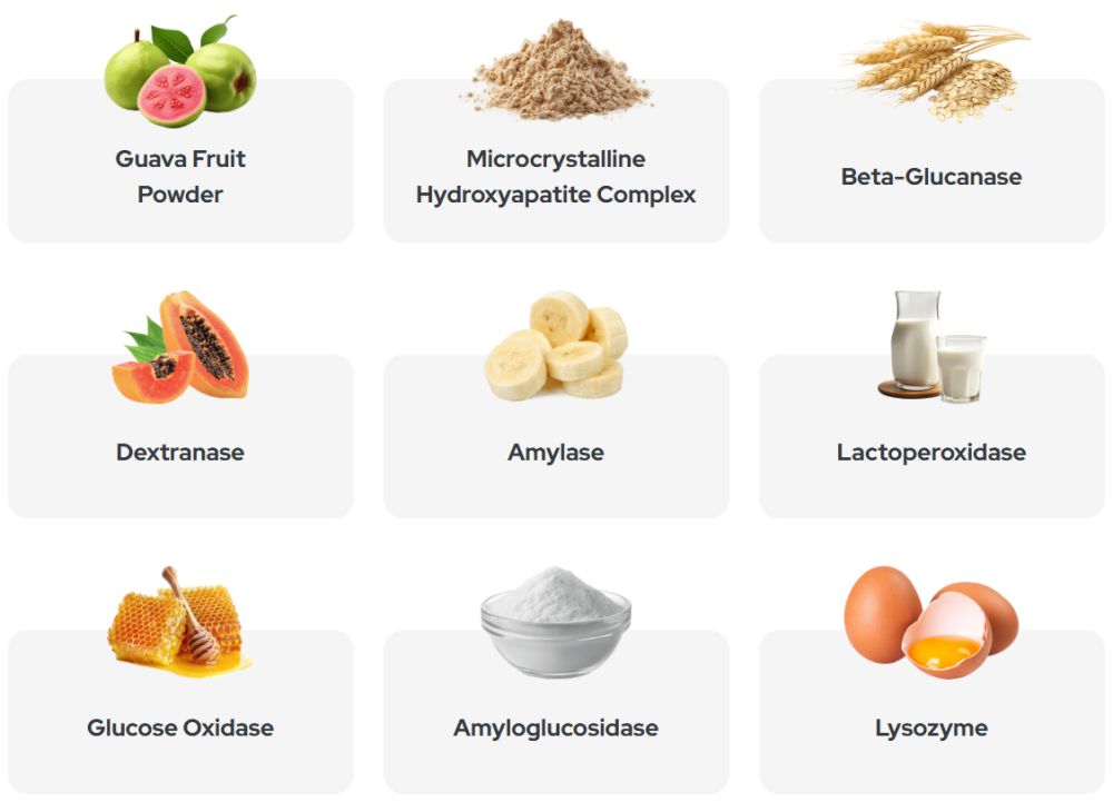 Syna Ingredients